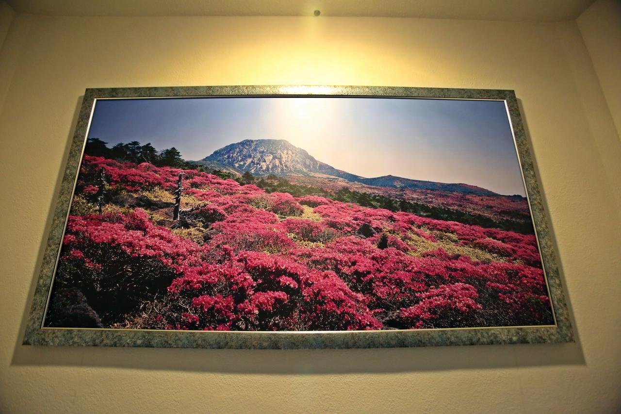 Champion Hotel Jeju Exterior foto